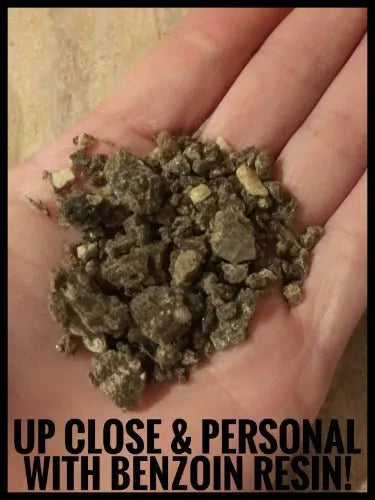 Close-up of benzoin resin in hand, showcasing its rich texture and unique colors, perfect for aromatherapy.