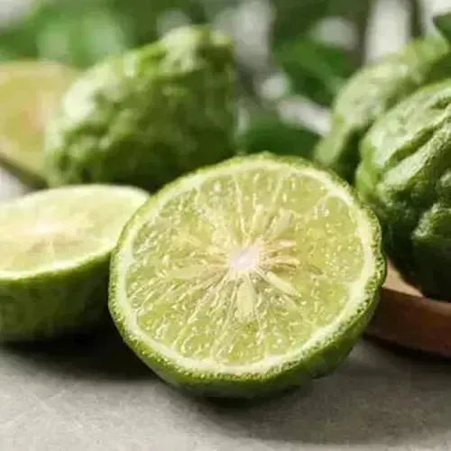 Freshly sliced bergamot lime, showcasing vibrant green color, perfect for aromatic essential oils and natural scents.