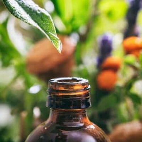 Close-up of an aromatic fragrance oil bottle surrounded by green leaves and colorful herbs, ideal for candles and soap.
