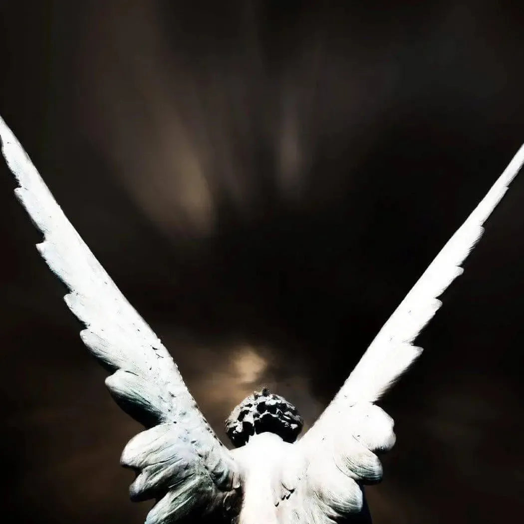 Anarchy Fragrance Oil with Patchouli, Vanilla, and Black Pepper