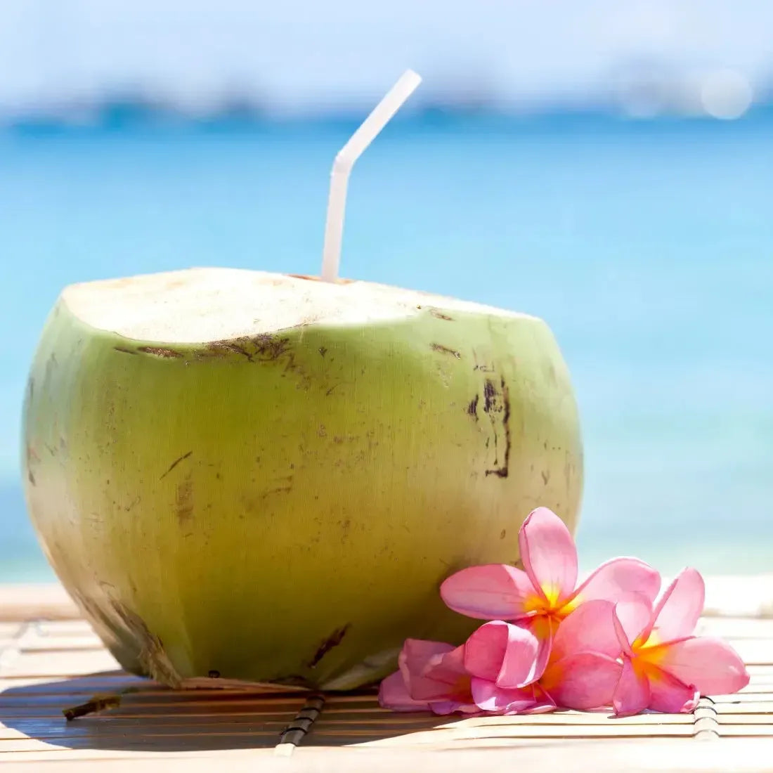 Coconut and Praline Fragrance Blend with Caramel and Marshmallow