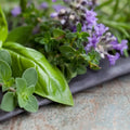 Fresh herbs including basil, thyme, and lavender petals, perfect for a calming herb garden fragrance.