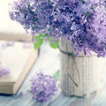 Beautiful lilac blossoms in a rustic jar with an open book, evoking springtime freshness and floral elegance.