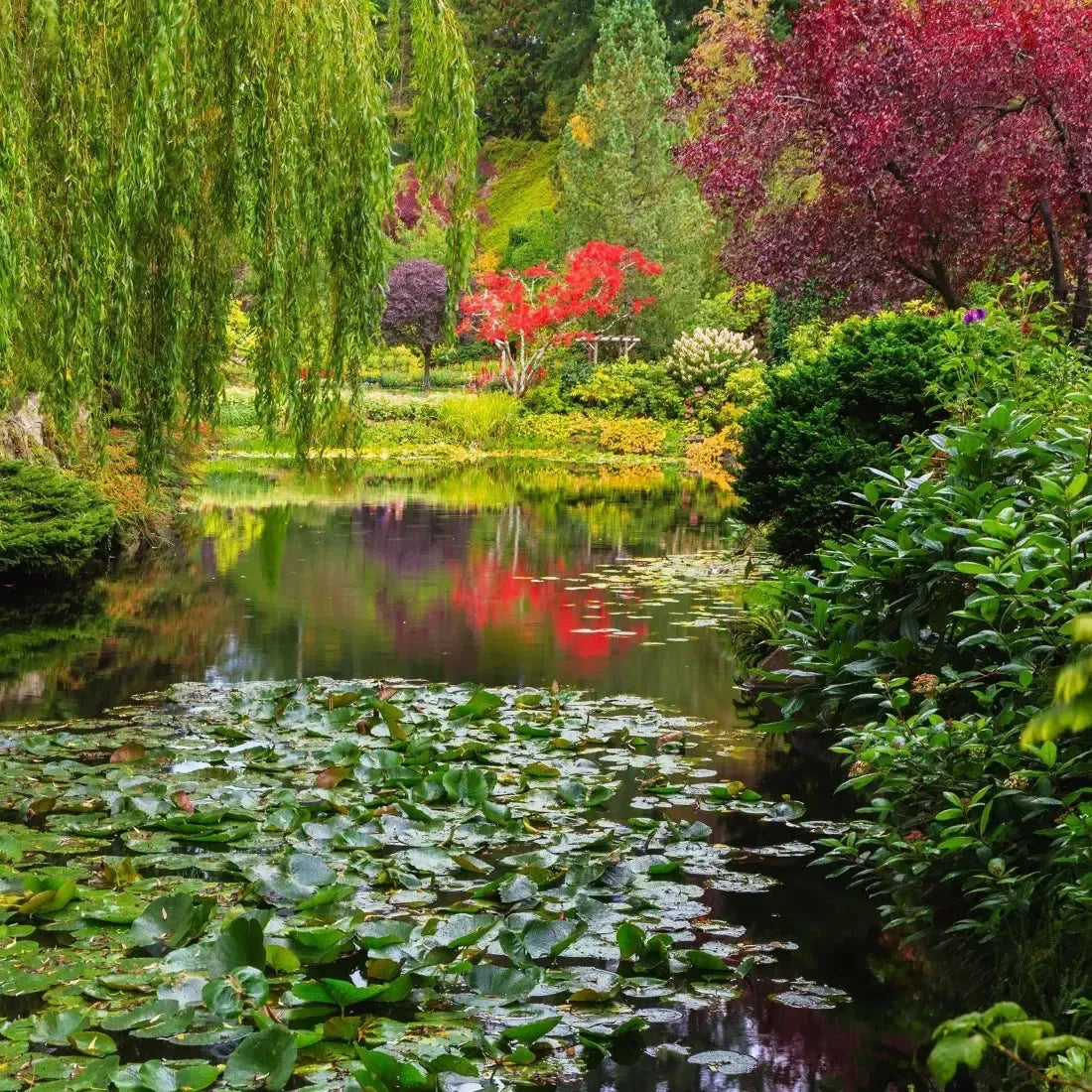 Lush spring garden with colorful trees and a tranquil pond, reflecting nature's beauty and harmony.