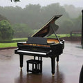 Grand piano in the rain amidst lush greenery, evoking an artistic and serene atmosphere.