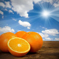 Vibrant oranges against a sunny sky, capturing the essence of citrus bliss and freshness.
