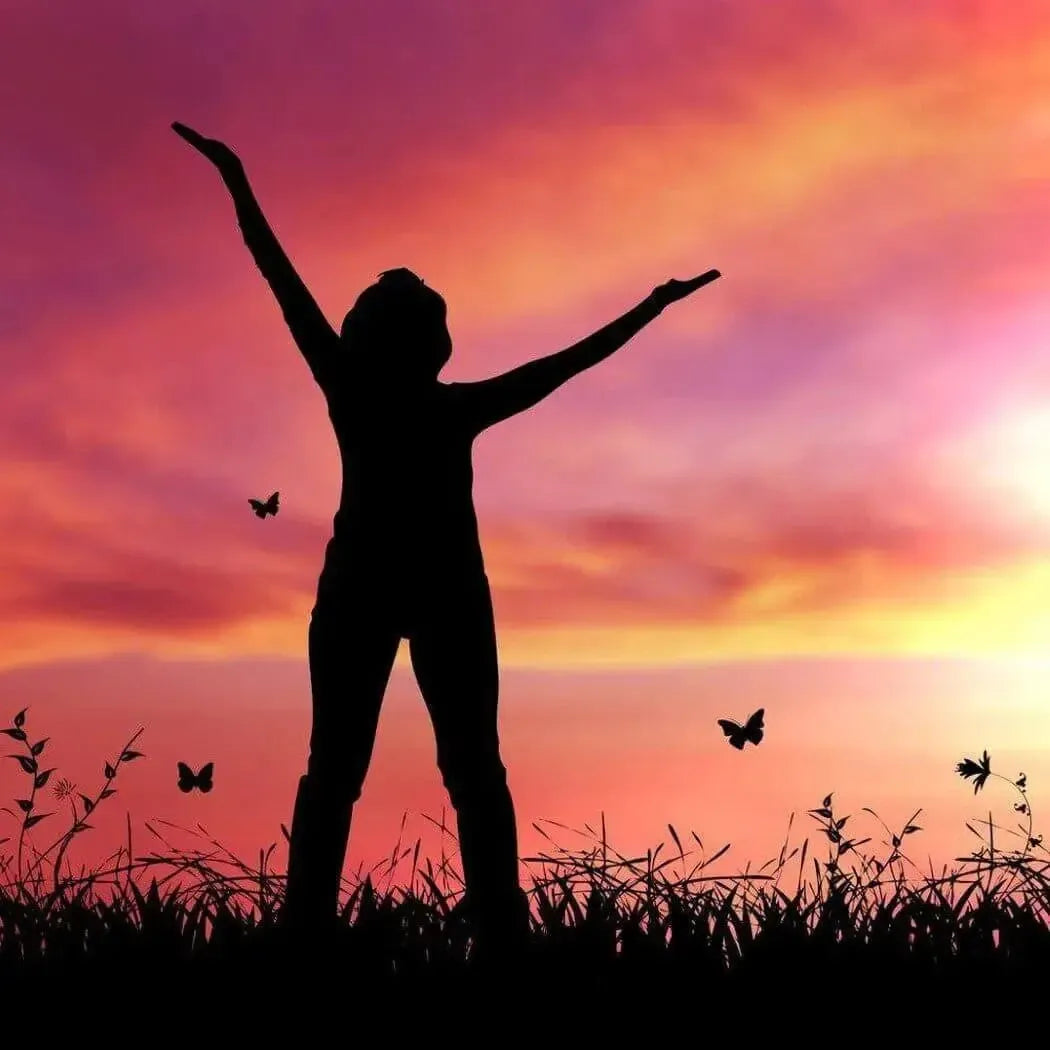 Silhouette of a woman with arms raised in joy against a vibrant sunset, surrounded by butterflies and greenery.